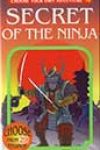 Secret of the Ninja by Jay Leibold