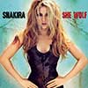 She Wolf by Shakira