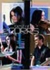 The Best of The Corrs by The Corrs