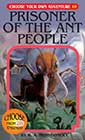 Prisoner of the Ant People by RA Montgomery
