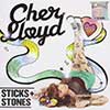 Sticks + Stones by Cher Lloyd