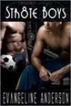 Str8te Boys by Evangeline Anderson