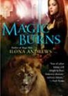Magic Burns by Ilona Andrews
