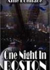 One Night in Boston by Allie Boniface