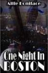 One Night in Boston by Allie Boniface