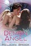 Demon Angel by Meljean Brook