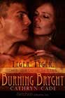 Tyger, Tyger Burning Bright by Cathryn Cade