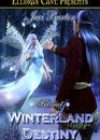 Winterland Destiny by Jaci Burton