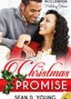 The Christmas Promise by Sean D Young