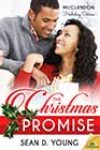 The Christmas Promise by Sean D Young