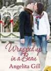 Wrapped Up in a Beau by Angelita Gill