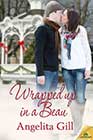Wrapped Up in a Beau by Angelita Gill