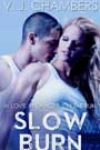 Slow Burn by VJ Chambers