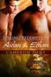 Aidan & Ethan by Cameron Dane