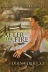 After the Fire by Diana DeRicci