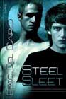 Steel Sleet by Eric Del Carlo