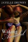 Waking Annabel by Jayelle Drewry