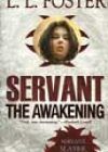 The Awakening by LL Foster