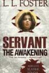 The Awakening by LL Foster