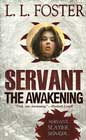 The Awakening by LL Foster
