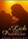 A Lick and a Promise by Ann Wesley Hardin