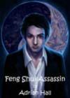 Feng Shui Assassin by Adrian Hall
