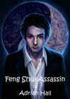 Feng Shui Assassin by Adrian Hall