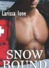Snowbound by Larissa Ione