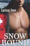 Snowbound by Larissa Ione