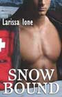 Snowbound by Larissa Ione
