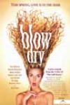 Blow Dry (2001)