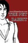 The Pet Rabbit by Silapa Jarun