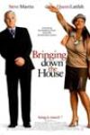 Bringing Down the House (2003)