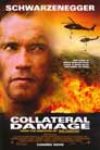 Collateral Damage (2002)