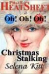 Christmas Stalking by Selena Kitt