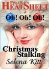 Christmas Stalking by Selena Kitt