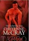 Taking on the Law by Cheyenne McCray
