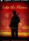 Into the Flame by Jade Morrison