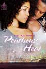 Penthouse Heat by PA Moore