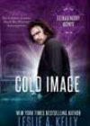 Cold Image by Leslie A Kelly