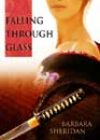 Falling through Glass by Barbara Sheridan