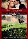 Irish Gypsy by Ana Seymour