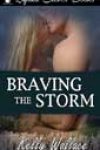 Braving the Storm by Kelly Wallace