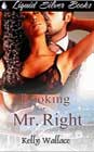 Looking for Mr. Right by Kelly Wallace