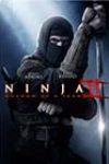 Ninja: Shadow of a Tear (2013)