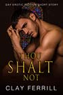 Thou Shalt Not by Clay Ferrill