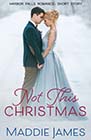 Not This Christmas by Maddie James