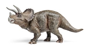 This Is a Triceratops